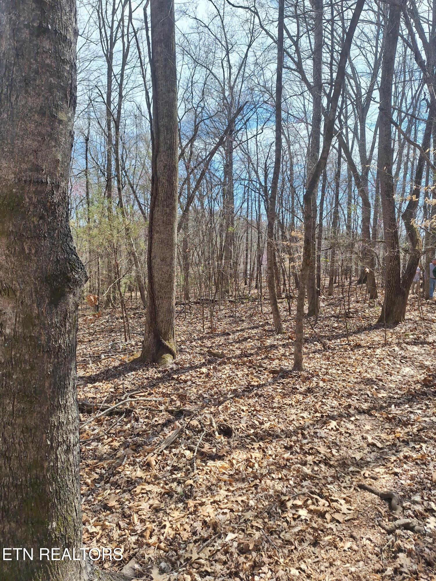 Image 3: 20250323_143138