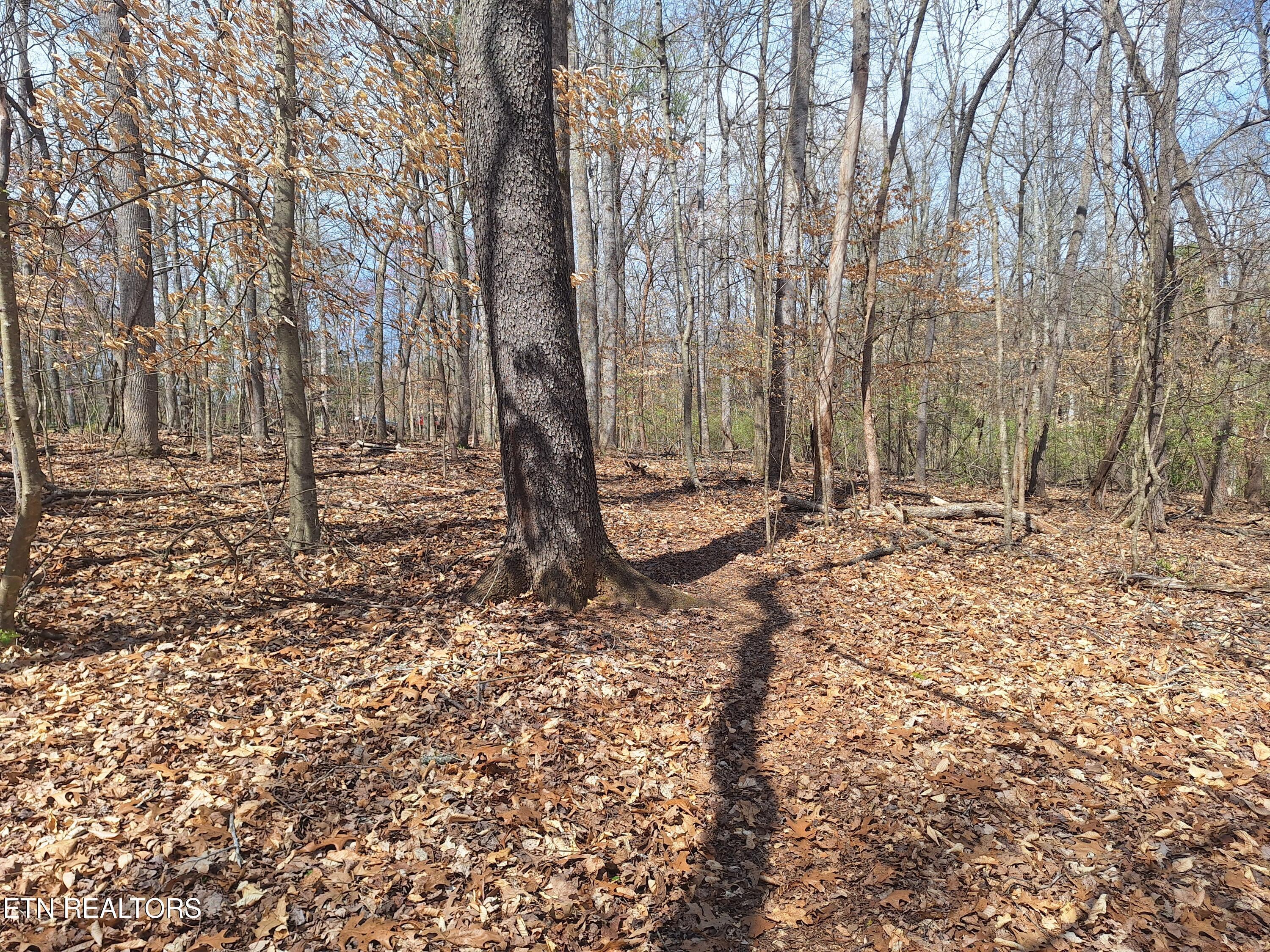 Image 4: 20250323_143127