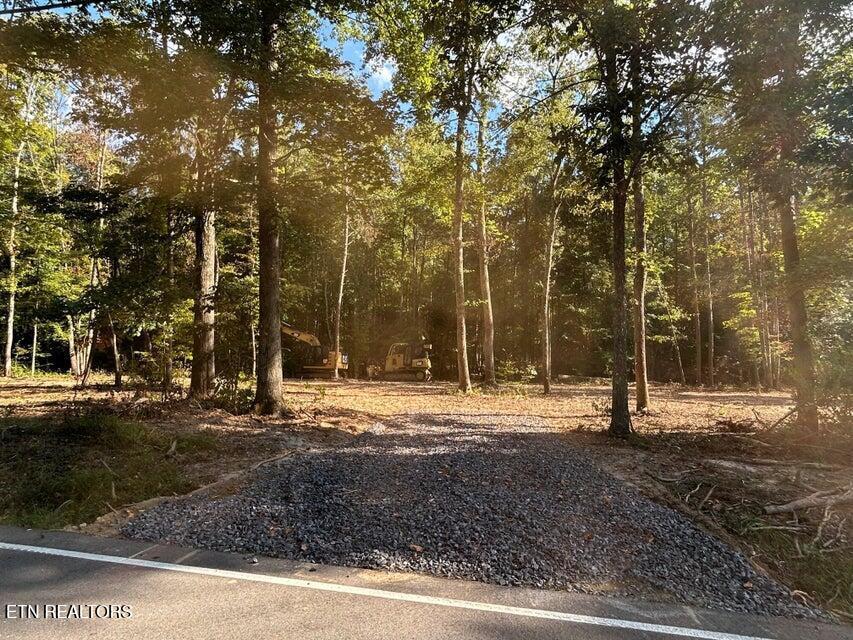 Image 2: Tract 3 PH driveway
