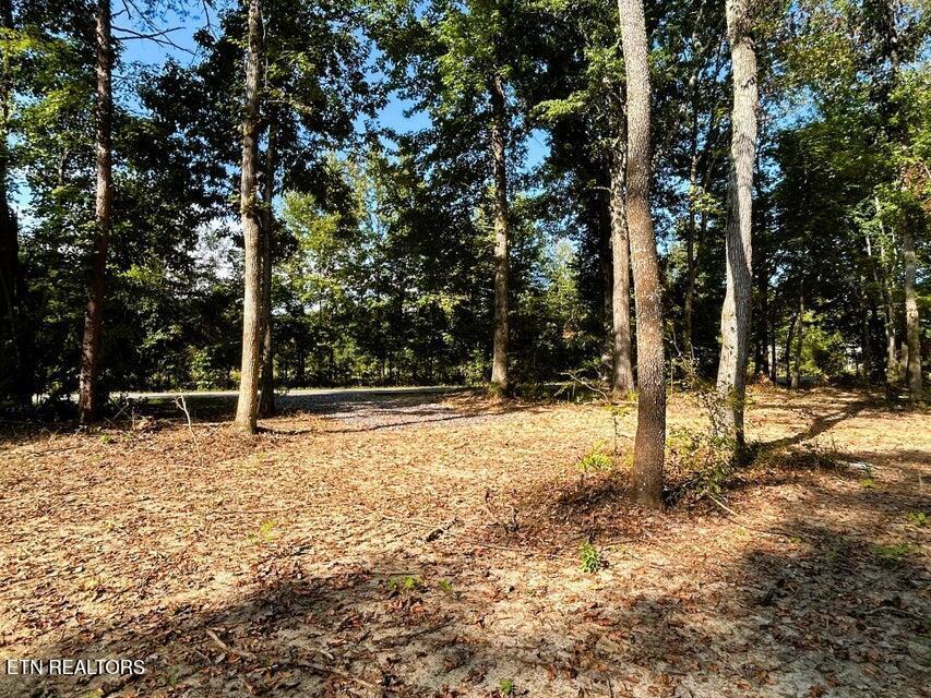 Image 3: Tract 3 PH cleared homesite