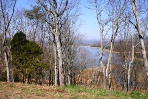 2013 Turners Landing 84
