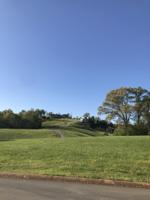 Lot 86 Shiloh Springs 86