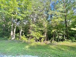 Lot 15 Black Fox Harbor