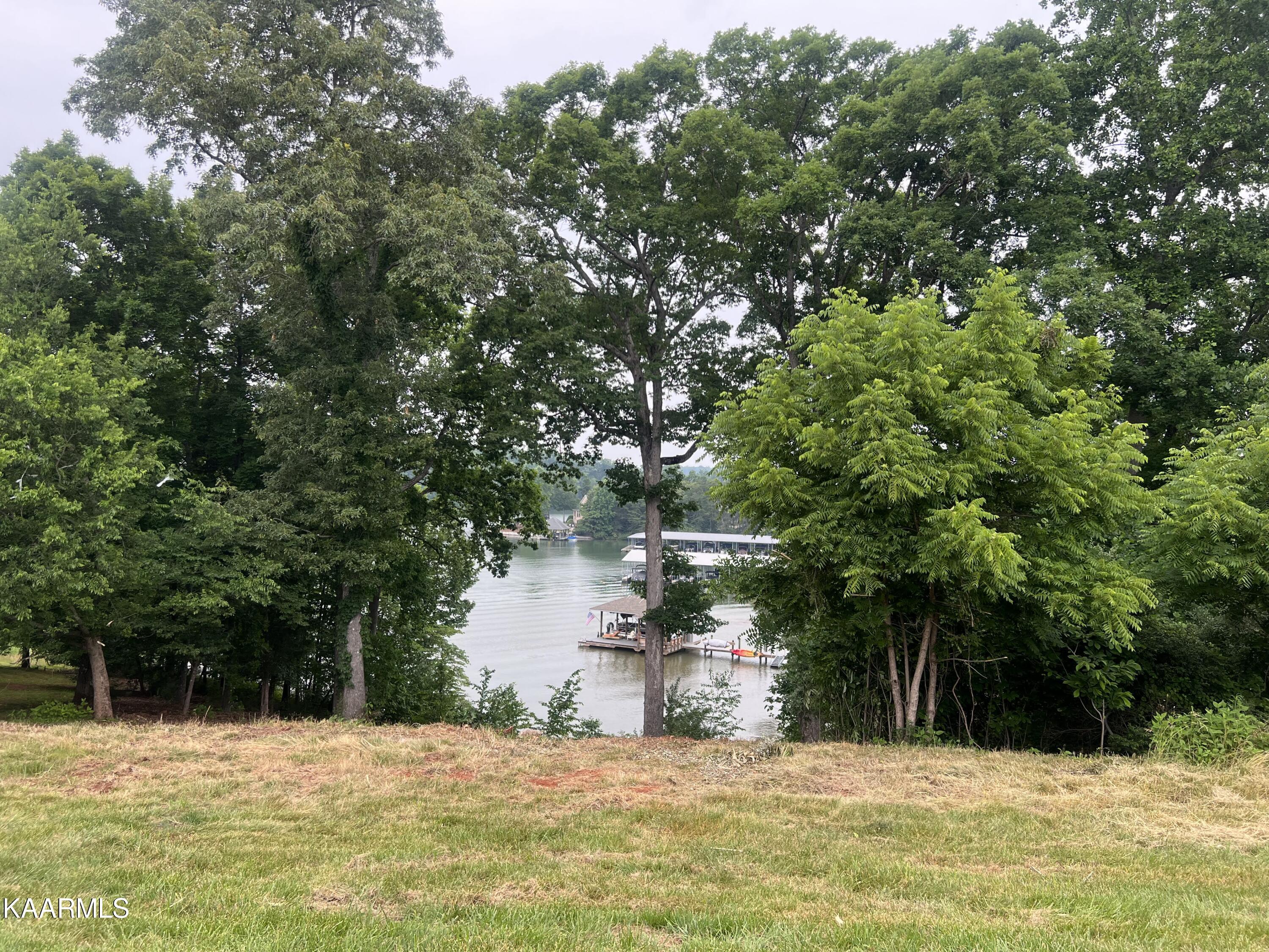 201 White Swan Drive, Vonore, TN lhrmls01481914