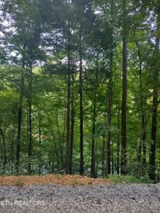 Lot 33 Jessee Rd