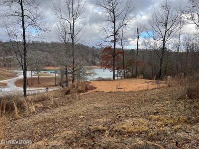Suncrest Cove Cove