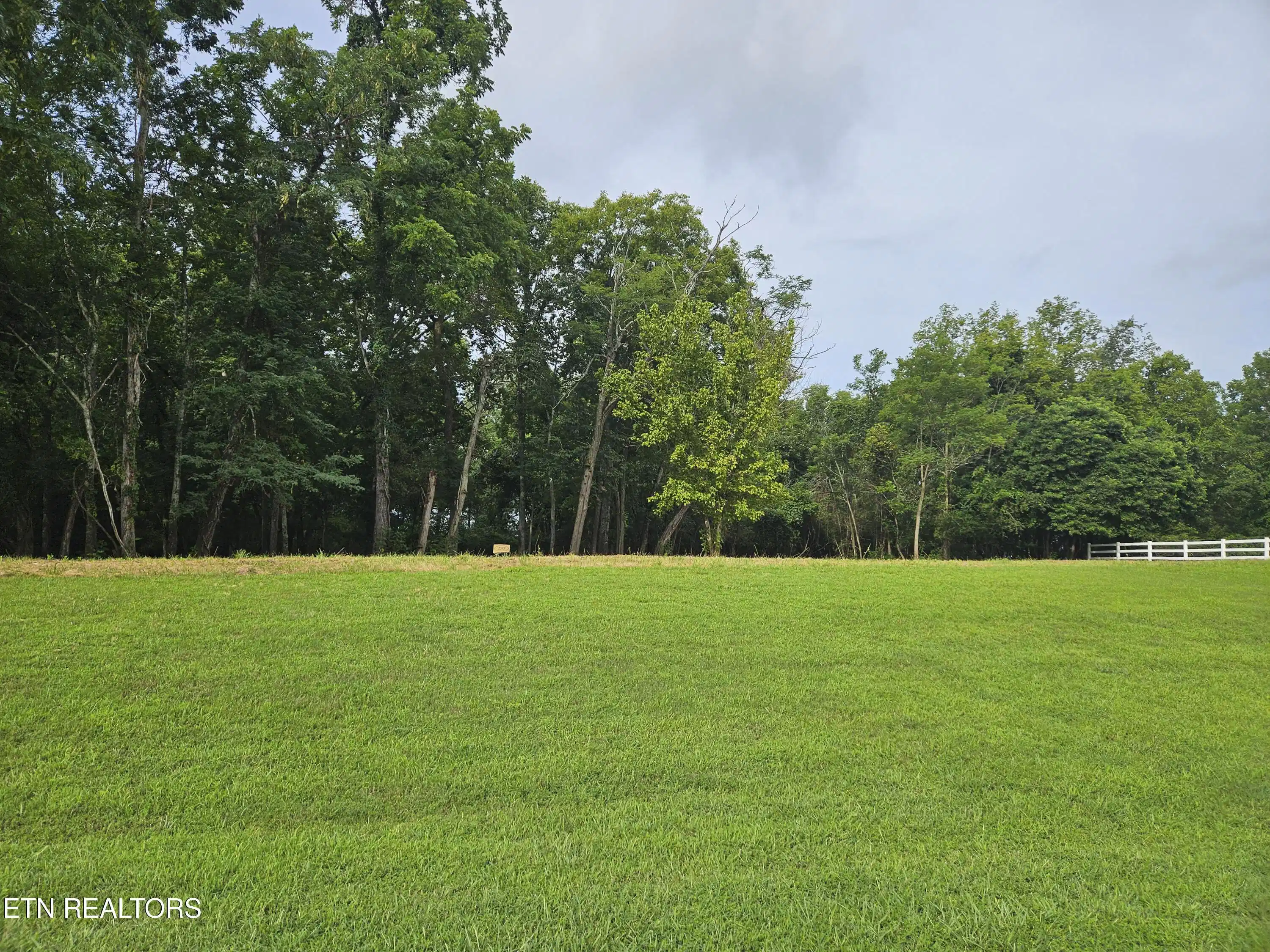Image 1: Level Lot