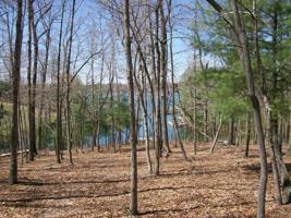 16 Milnor Terrace 29