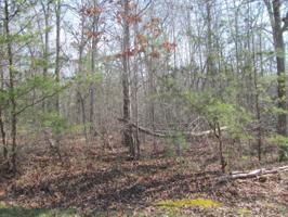 108 Hedgewood Point 153