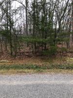 153 Trentwood Drive 52