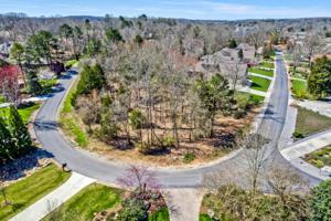 411 Cayuga Drive 11