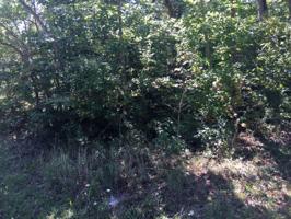 242 Manchester Rd 517
