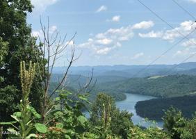 Lot 193 Clinch View Rd