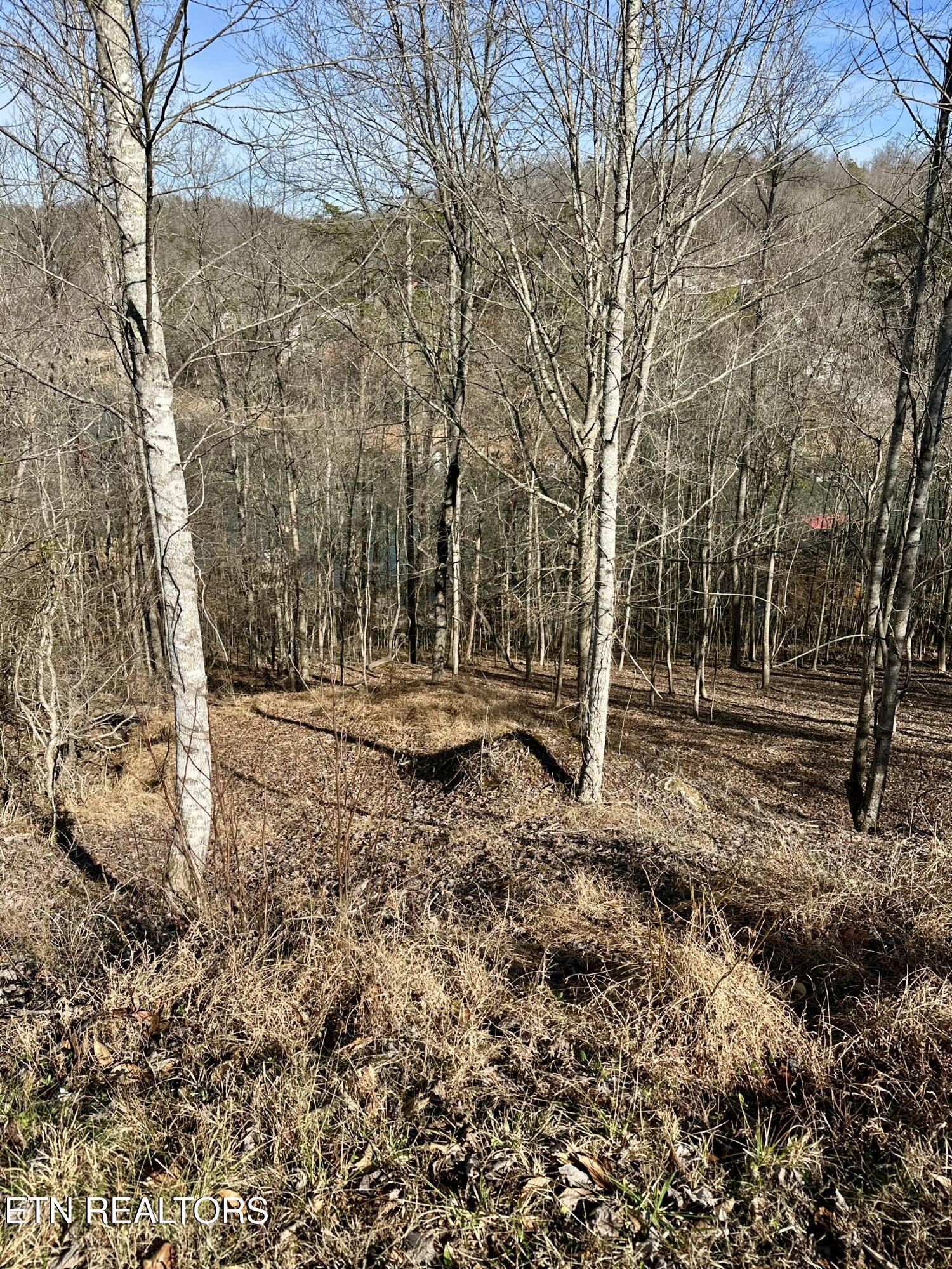 Image 2: IMG_4040