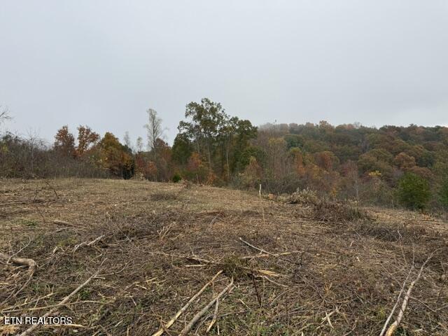 Image 4: Pinnacle Ln Lot 64 view 1