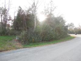 419 Cheeyo Place 4