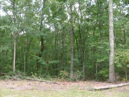 3039 Shawnee Rd