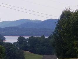 391 Pheasant View