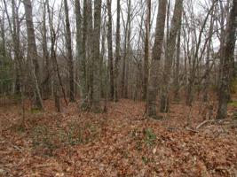 112 Ivy Brook Lane