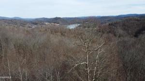Lot 142 Whistle Valley Road (Lot #142)