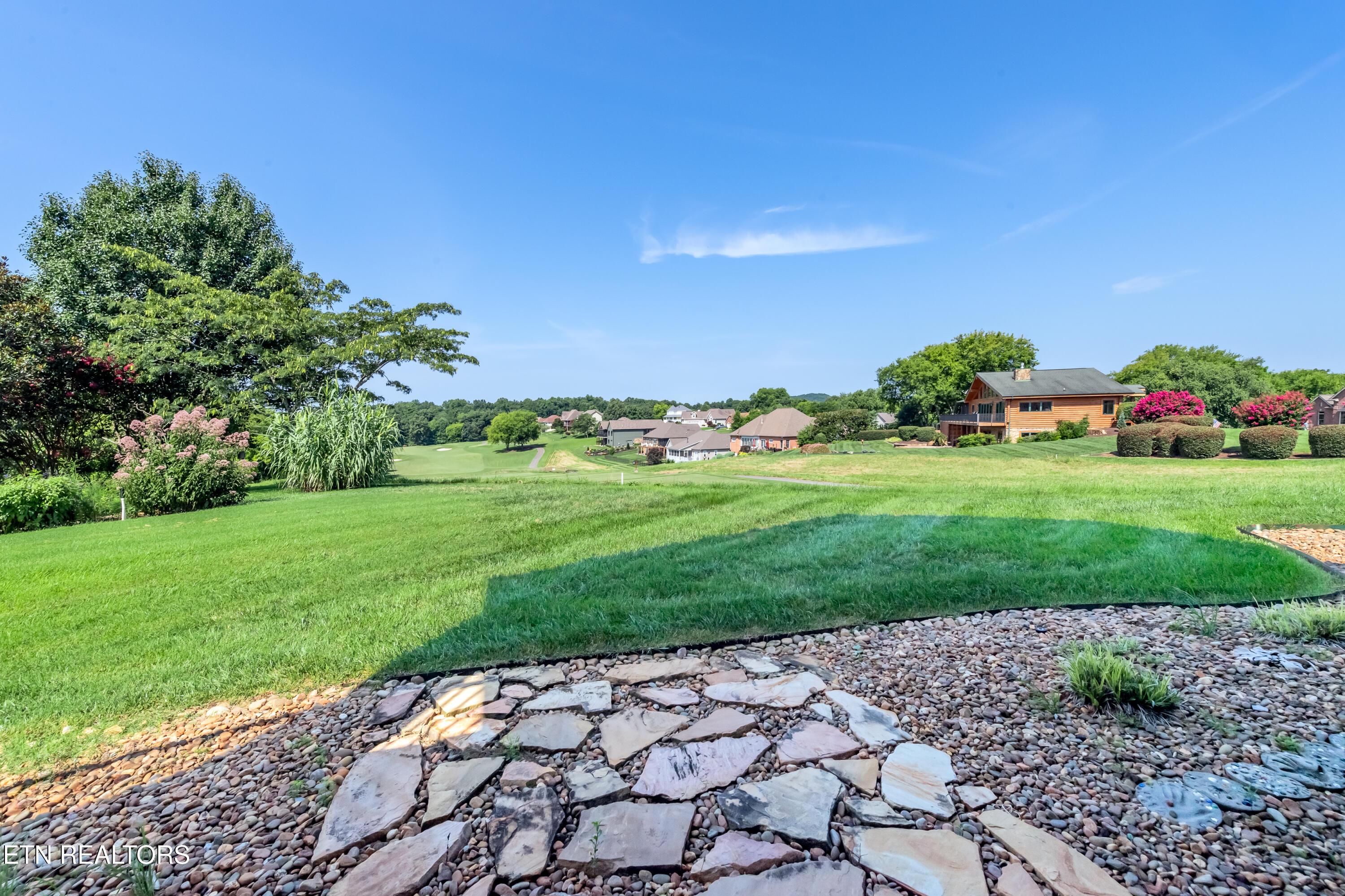 Image 4: Backyard