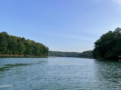lot 96&111 Hiwassee Drive