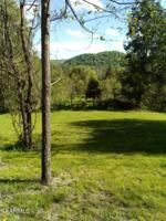 383 Wild Turkey Lane