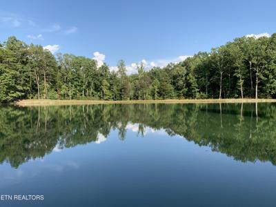 Gold Pond Way