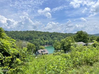 Lot 61 Lake Springs Rd