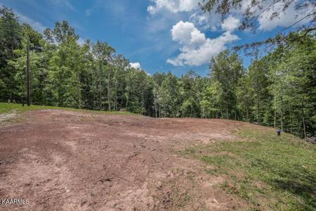 295 Bill Moser Rd