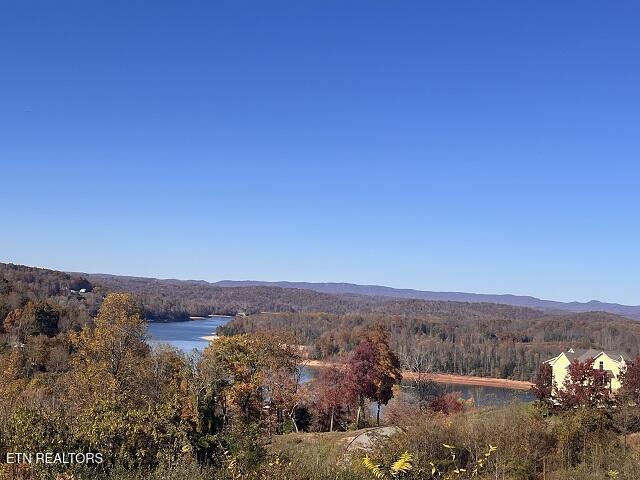 Image 3: IMG_7495