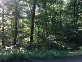 128 Nuhya Way 4