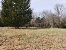 Lot 20 Dudi Tr 20