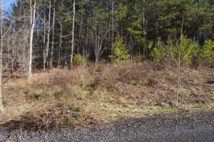 Lot 21 Wilderness Drive