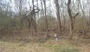 311 Dudala Way