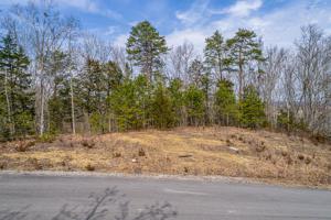 Lot 46 Emerald Pointe Blvd