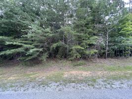 11 Ivydale Lane