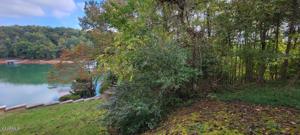 Lot 33 Lakesprings Dr