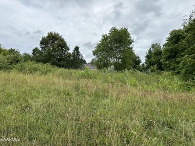 230 Walelu Trail