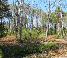 103 Waynoka Lane 2