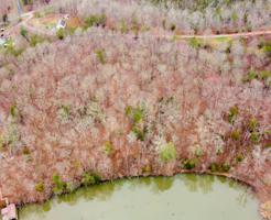 Tract/Lot 2 - Scenic River Rd
