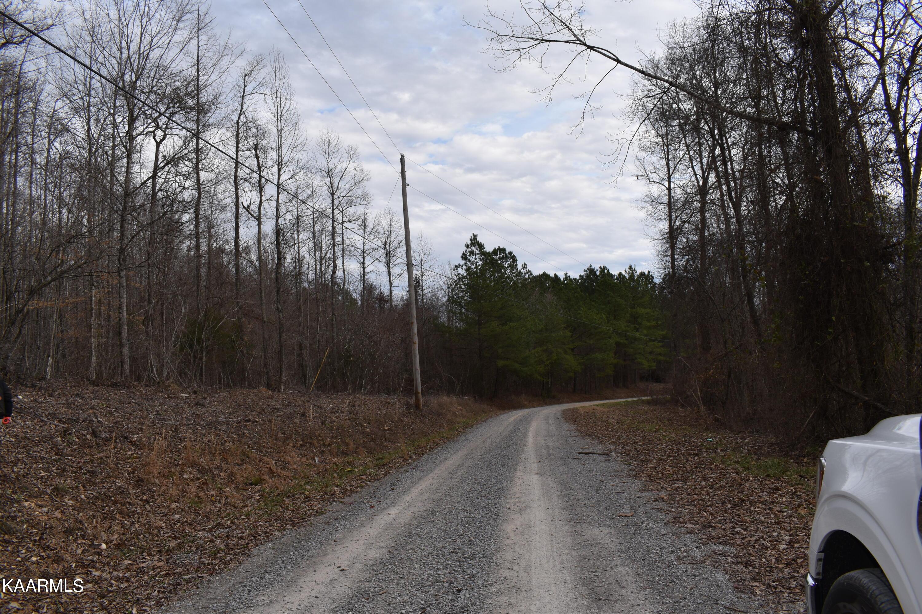 Image 2: DSC_0017