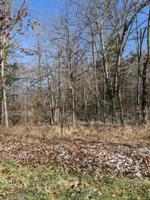 1627 E Cherokee Rd