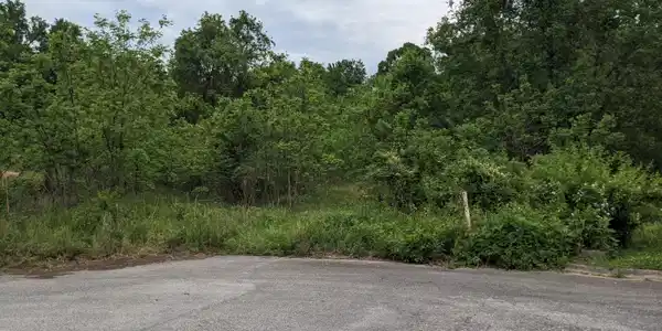 Lot 14 Haley Woods Drive