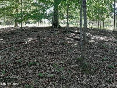 Deer Pond Circle