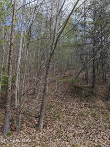 TBD Bluff View Rd