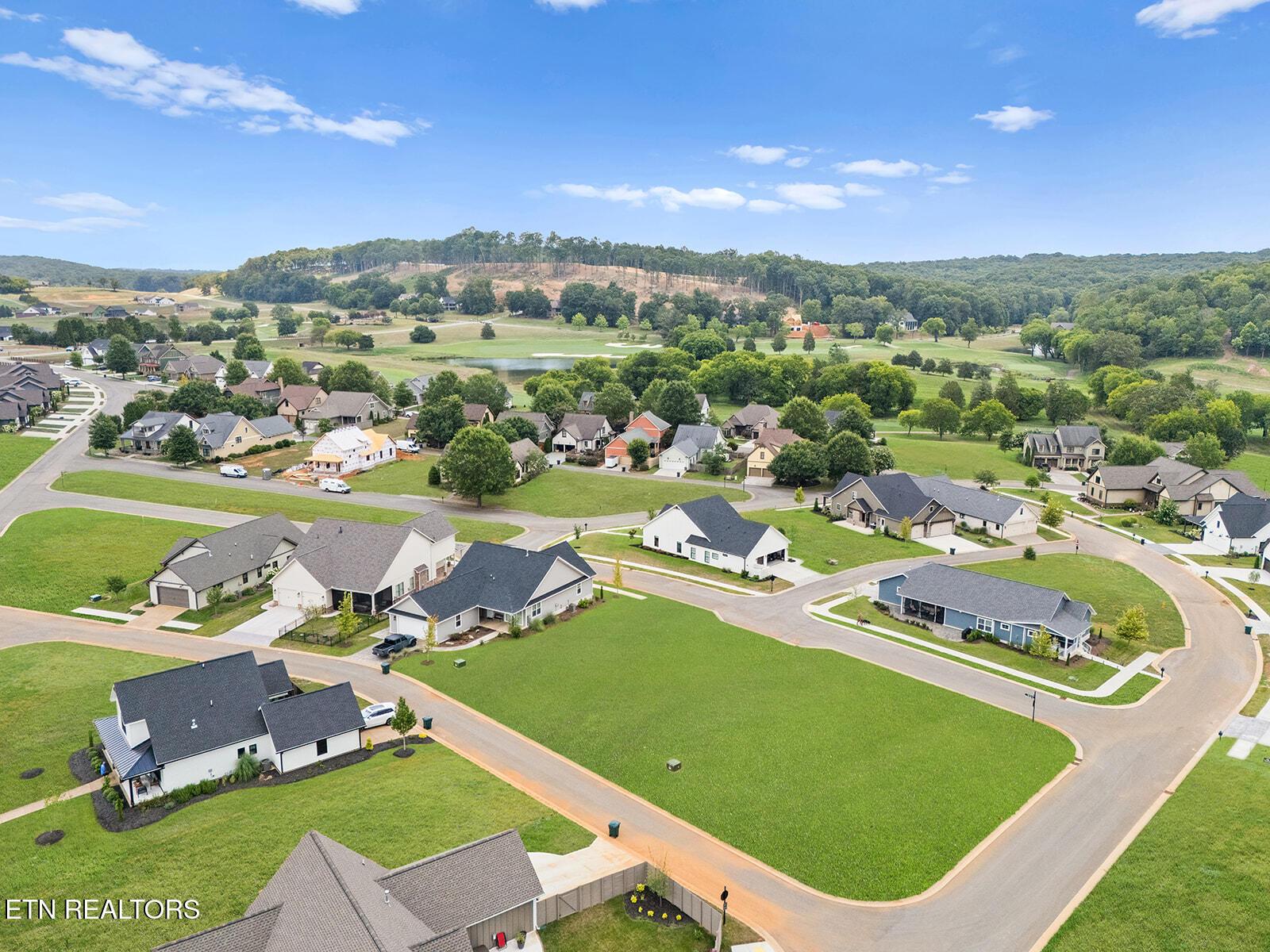Image 3: DJI_20250801022808_0019_D (1)