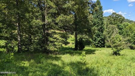 LOT 34 Springwater Run