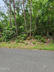 1191 Tree Line Lane Lane