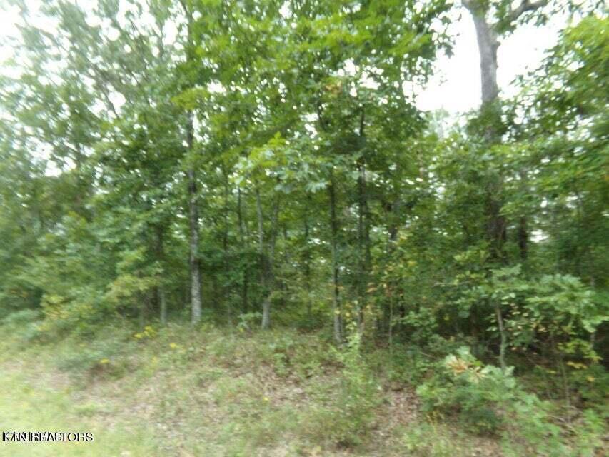 Image 2: Wooded Lot